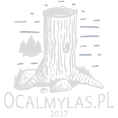 Ocalmy Las Borkowski